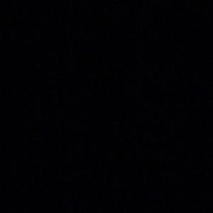 Meet your Posher, Cleo